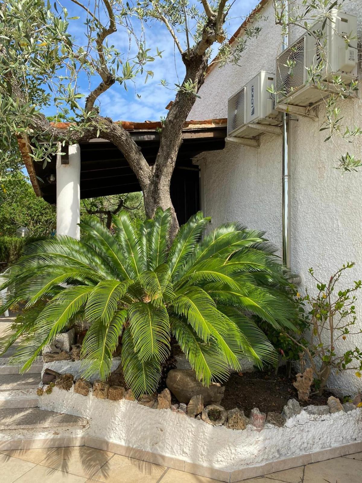 Domo Angheleda - Alghero Casa Indipendente Vicino Al Mare Eksteriør bilde