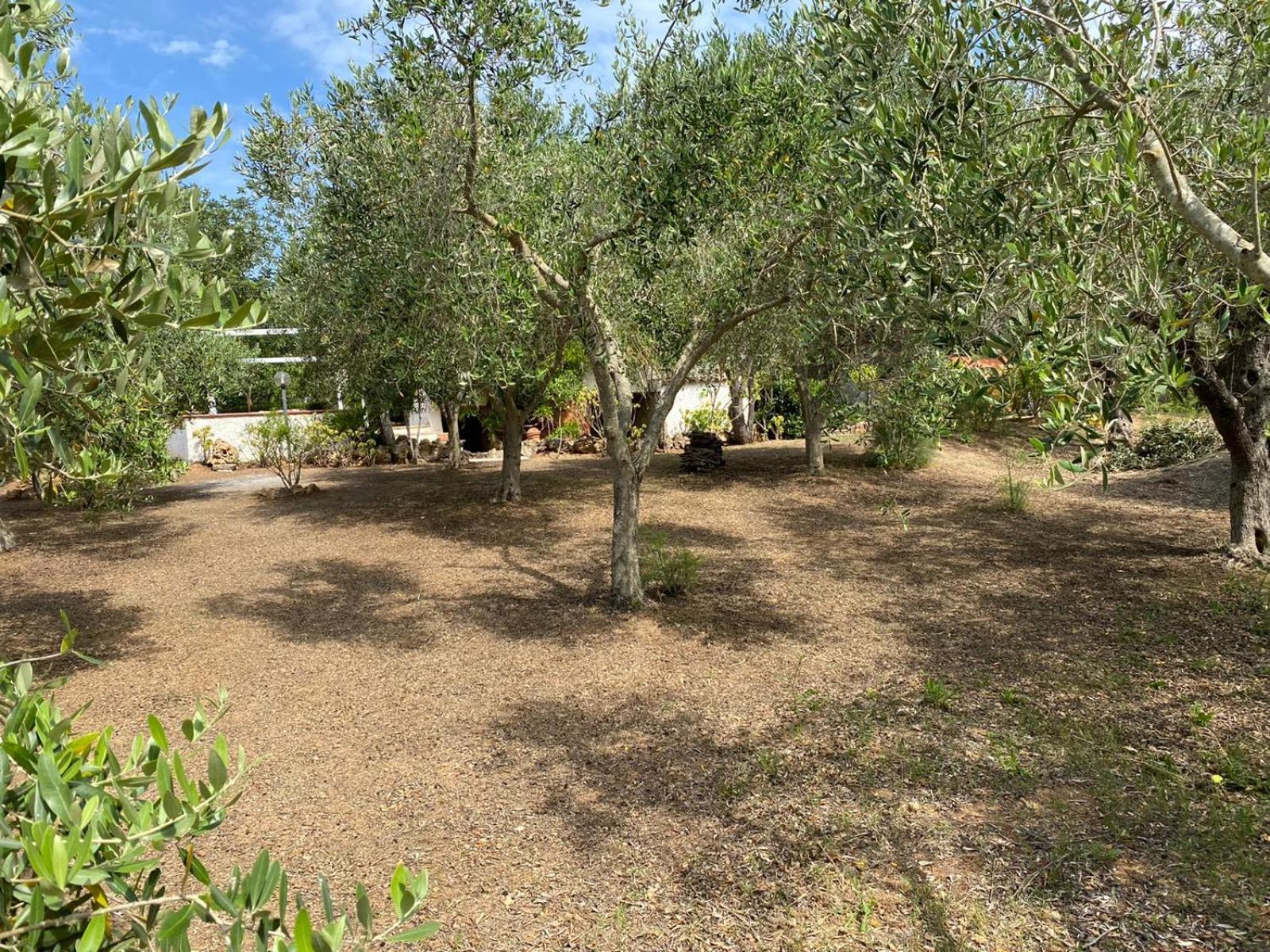 Domo Angheleda - Alghero Casa Indipendente Vicino Al Mare Eksteriør bilde